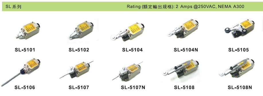 SL(2)