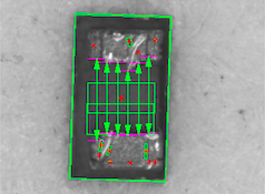 Screen Shot 2022-05-31 at 10.07.48 AM
